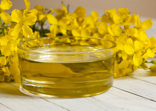 Rapeseed Oil